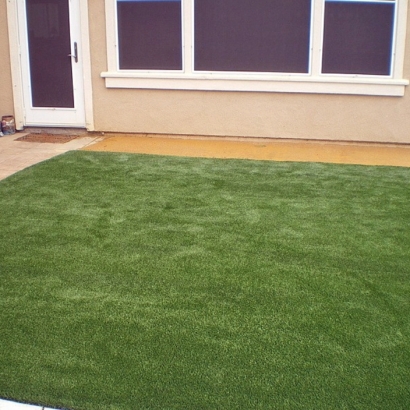 Artificial Grass White Springs, Florida Gardeners, Backyard