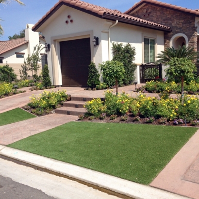 Artificial Lawn Crystal River, Florida Landscape Rock, Small Front Yard Landscaping