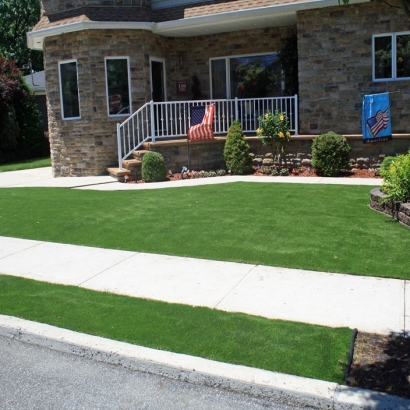 Artificial Lawn Five Points, Florida Lawn And Landscape, Front Yard Ideas