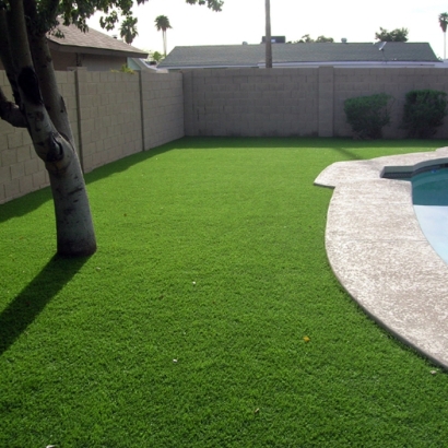 Artificial Lawn Holly Hill, Florida Home And Garden, Small Backyard Ideas