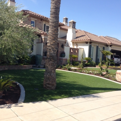 Artificial Lawn Mascotte, Florida Lawns, Front Yard Landscaping