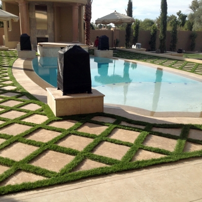 Artificial Lawn Morriston, Florida Landscaping, Backyard Garden Ideas