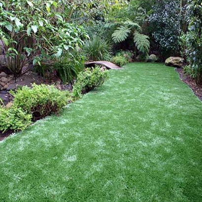 Artificial Lawn Trenton, Florida Gardeners, Backyard Ideas