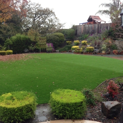 Artificial Lawn Windermere, Florida Design Ideas, Backyard Ideas