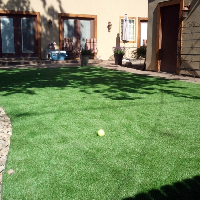 Artificial Turf Cost Celebration, Florida Roof Top, Beautiful Backyards