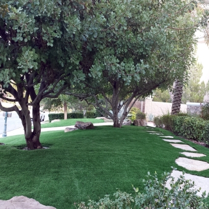 Artificial Turf Cost Merritt Island, Florida Rooftop, Front Yard Landscaping Ideas