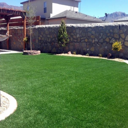 Artificial Turf Cost Sawgrass, Florida Paver Patio, Backyard Landscape Ideas