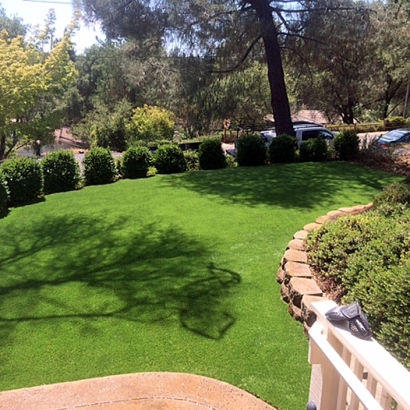 Artificial Turf Cost Wiscon, Florida Roof Top, Backyard Landscaping