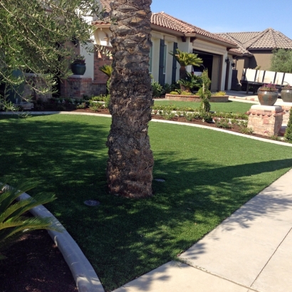 Artificial Turf Dunnellon, Florida Lawn And Landscape, Front Yard