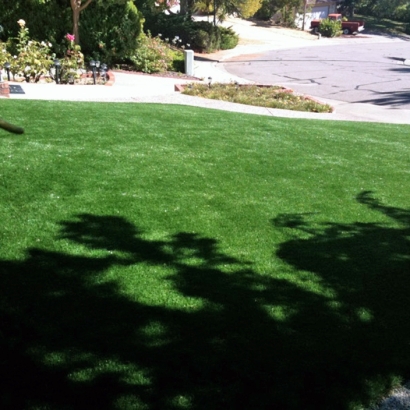 Artificial Turf Installation Clermont, Florida Lawns, Landscaping Ideas For Front Yard