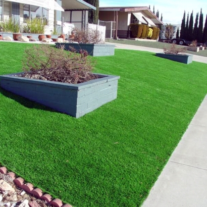 Artificial Turf Installation Deltona, Florida City Landscape, Landscaping Ideas For Front Yard