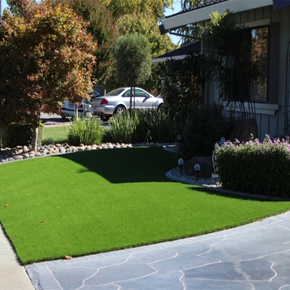 Artificial Turf Installation Leesburg, Florida Garden Ideas, Front Yard Landscaping