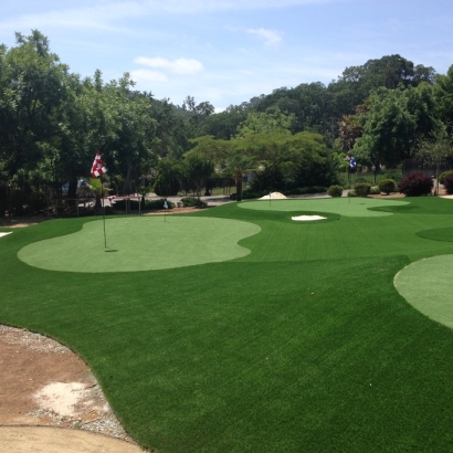 Artificial Turf Installation Maitland, Florida Golf Green, Front Yard Landscape Ideas