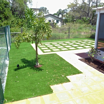 Artificial Turf Installation Reddick, Florida Lawns, Backyard Garden Ideas