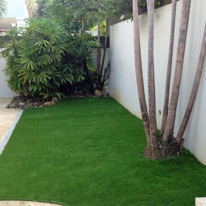 Artificial Turf Installation Silver Lake, Florida Roof Top, Backyard Makeover