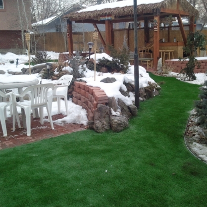 Artificial Turf Keystone Heights, Florida Home And Garden, Backyard Landscape Ideas