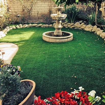 Artificial Turf Pine Hills, Florida Landscape Ideas