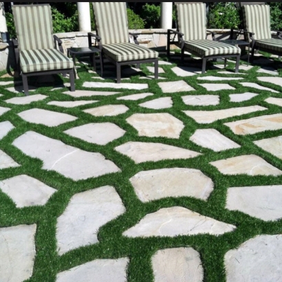 Artificial Turf Silver Springs Shores, Florida Gardeners, Backyard Landscaping