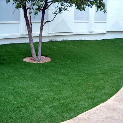 Fake Grass Azalea Park, Florida Backyard Deck Ideas, Commercial Landscape