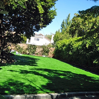 Fake Grass Carpet Archer, Florida Lawn And Landscape, Backyard Design