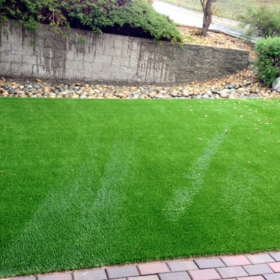 Fake Grass Carpet Bellair-Meadowbrook Terrace, Florida Lawn And Landscape, Front Yard Ideas