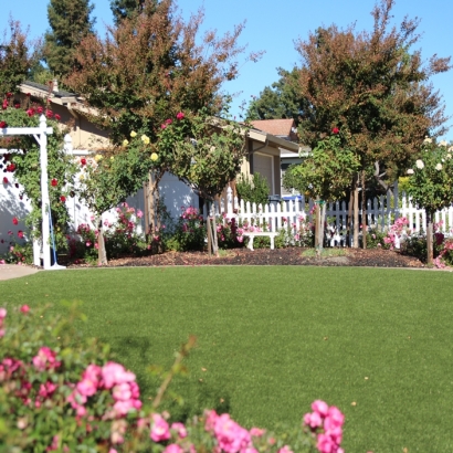 Fake Grass Carpet Lamont, Florida Rooftop, Front Yard Landscape Ideas