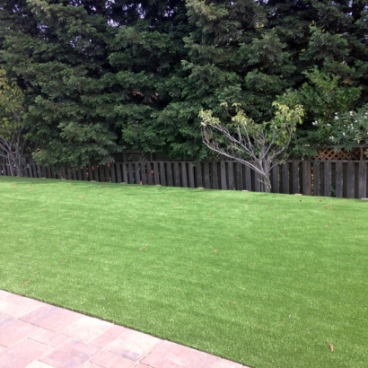 Fake Grass Carpet Okahumpka, Florida Landscaping, Backyard Landscaping Ideas