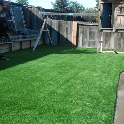 Fake Grass Carpet Pittman, Florida Lawns, Backyard Design