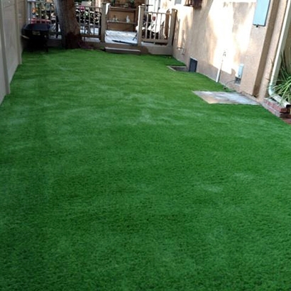 Fake Grass Carpet Saint Augustine South, Florida Landscaping Business, Backyard Designs