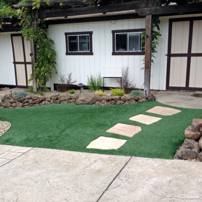 Fake Grass Carpet South Apopka, Florida City Landscape, Front Yard Ideas