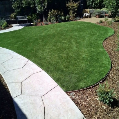 Fake Grass Carpet Weeki Wachee, Florida Design Ideas, Front Yard Landscaping Ideas