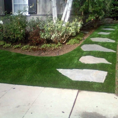 Fake Grass Lacoochee, Florida Home And Garden, Front Yard Landscape Ideas