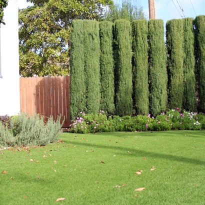 Fake Lawn Astor, Florida Lawns, Front Yard Landscape Ideas