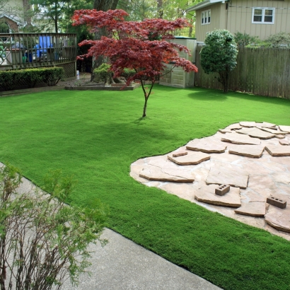 Fake Lawn Cape Canaveral, Florida Lawn And Garden, Beautiful Backyards