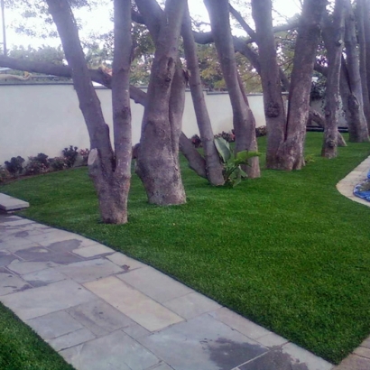 Fake Lawn Daytona Beach Shores, Florida Garden Ideas, Small Front Yard Landscaping