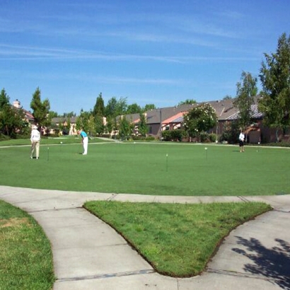 Fake Lawn McIntosh, Florida Indoor Putting Green, Commercial Landscape