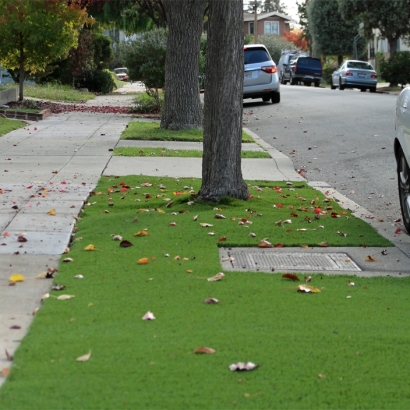 Fake Lawn Watertown, Florida Lawn And Landscape, Small Front Yard Landscaping