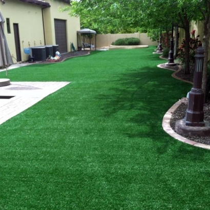 Fake Turf Citrus Ridge, Florida Paver Patio, Backyard Design