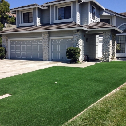 Fake Turf Inverness, Florida Gardeners, Front Yard Landscaping Ideas