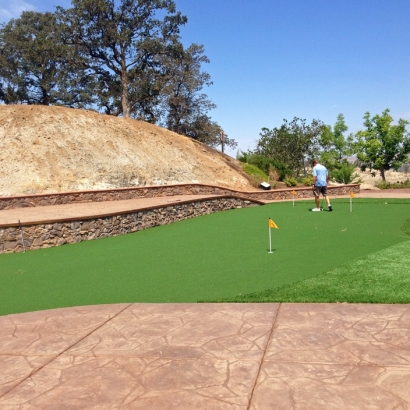 Fake Turf Waldo, Florida Outdoor Putting Green, Backyard Landscape Ideas