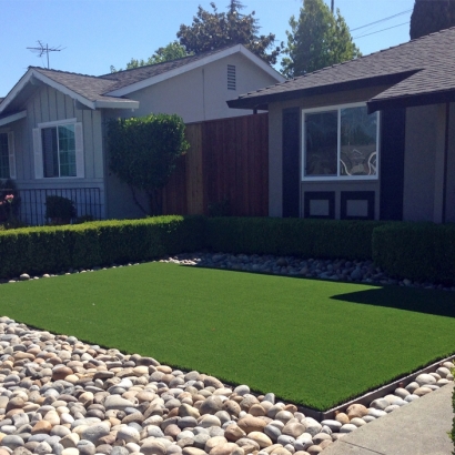 Faux Grass Belleview, Florida Landscaping, Front Yard Landscaping