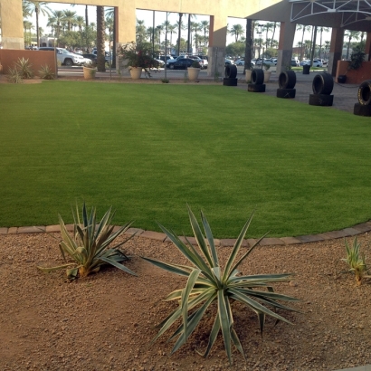 Faux Grass Madison, Florida Backyard Playground, Commercial Landscape