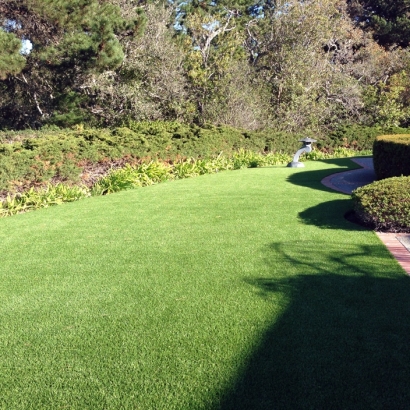 Faux Grass Orlando, Florida Gardeners, Front Yard Landscaping Ideas