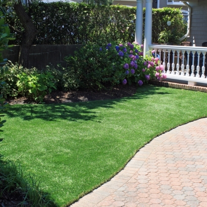 Grass Carpet Crescent City, Florida Landscape Photos, Landscaping Ideas For Front Yard