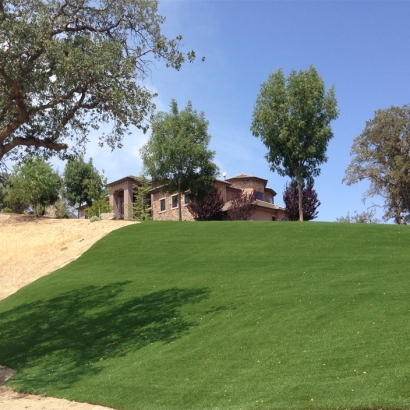 Grass Carpet Crystal River, Florida Landscape Rock, Landscaping Ideas For Front Yard