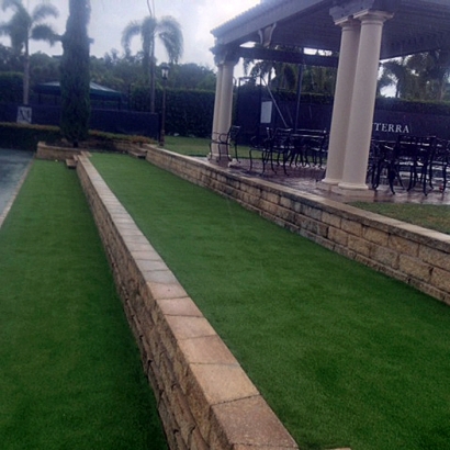 Grass Carpet Dade City, Florida Backyard Playground, Commercial Landscape