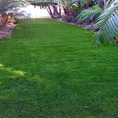 Grass Carpet Newberry, Florida Landscaping, Backyard Makeover