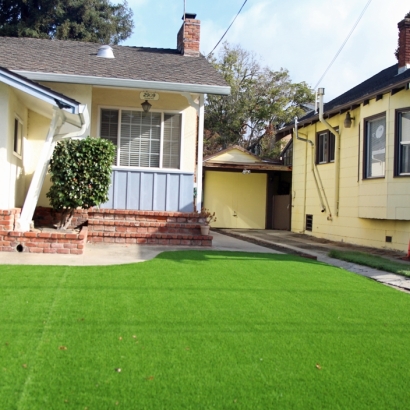 Grass Carpet Saint Augustine Beach, Florida Lawn And Landscape, Front Yard