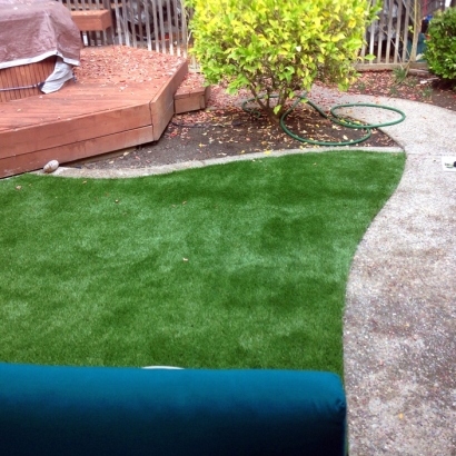 Grass Installation Lake Butler, Florida Lawn And Garden, Backyard Landscaping Ideas