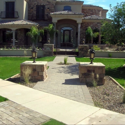 Grass Turf Celebration, Florida Landscape Ideas, Landscaping Ideas For Front Yard